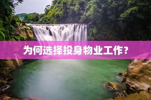 为何选择投身物业工作？