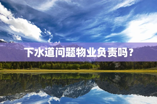 下水道问题物业负责吗？
