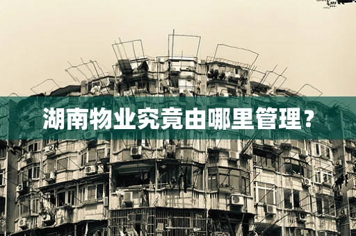 湖南物业究竟由哪里管理？