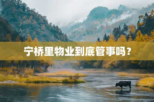 宁桥里物业到底管事吗？