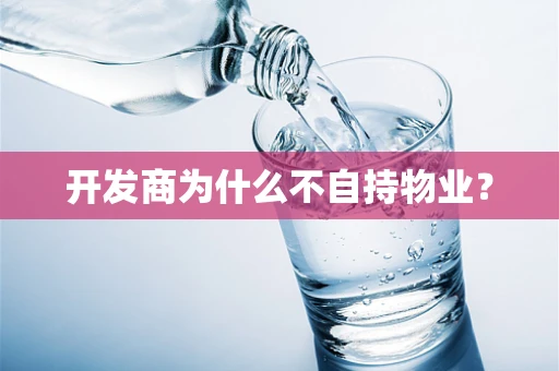 开发商为什么不自持物业？