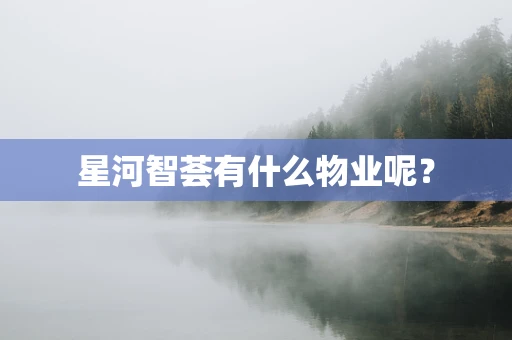 星河智荟有什么物业呢？