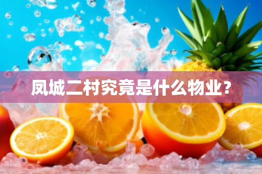 凤城二村究竟是什么物业？