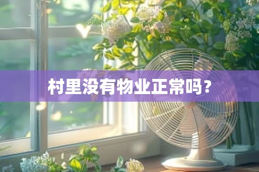 村里没有物业正常吗？