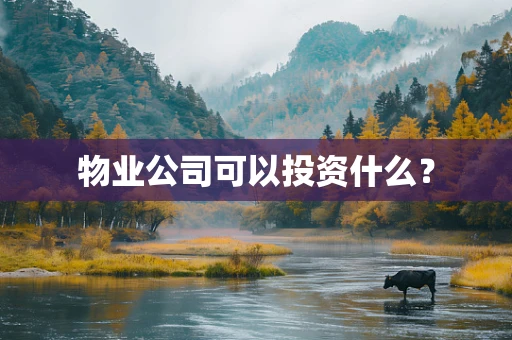 物业公司可以投资什么？