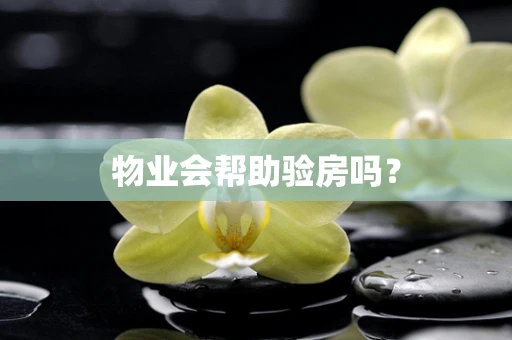 物业会帮助验房吗？