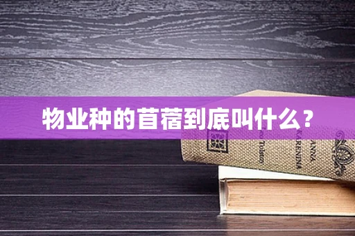 物业种的苜蓿到底叫什么？