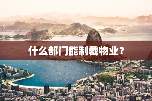 什么部门能制裁物业？