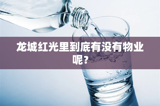龙城红光里到底有没有物业呢？