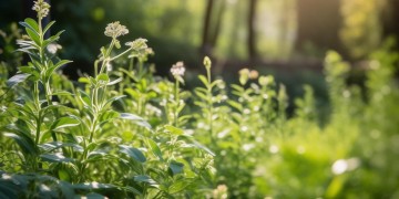 物业养老能学到什么？