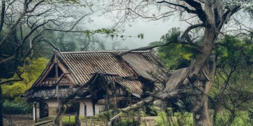 健康新村物业所属小区究竟是什么样的？