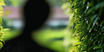 物业管家有风险吗？