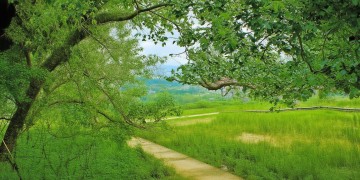 合肥物业招聘需要资质吗？