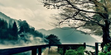 太行置业物业究竟是什么？